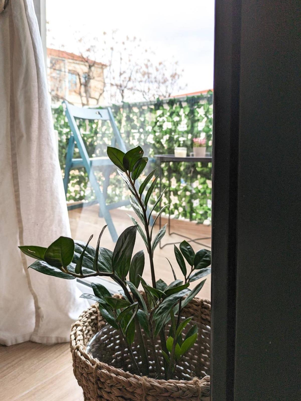 Apartamento Cozy *